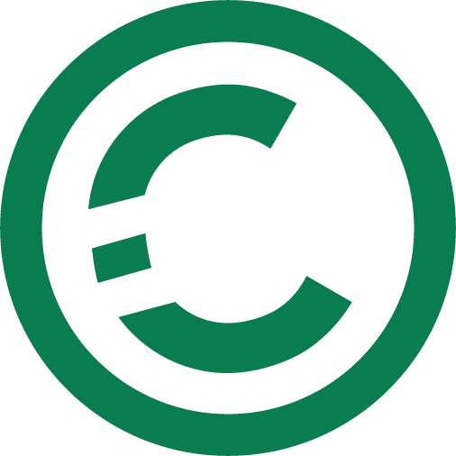 Favicon Zahltag Logo Grün